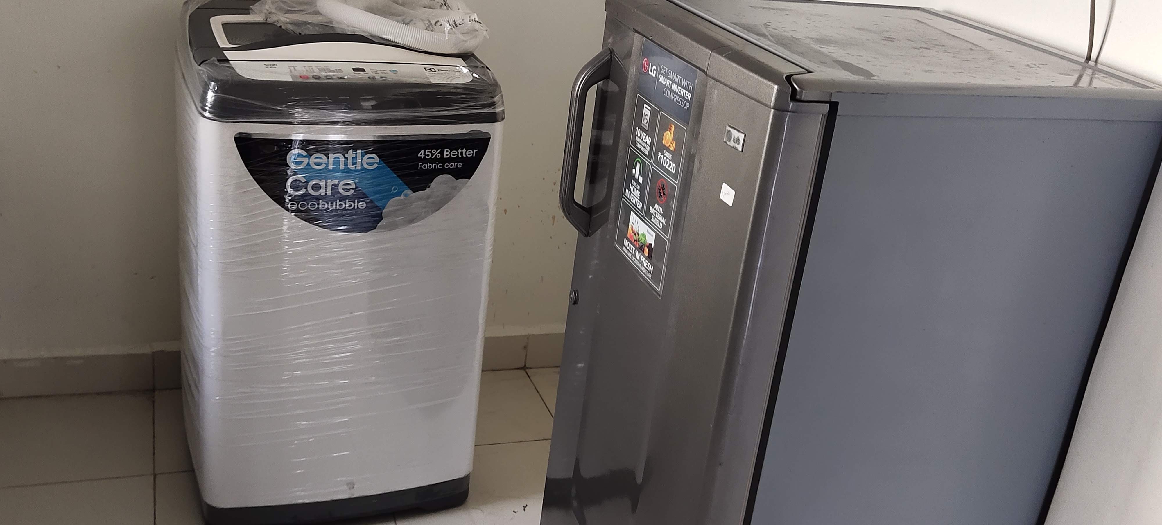 Dolphin PG Patil Photo 6 Dolphin PG Patil Photo 6