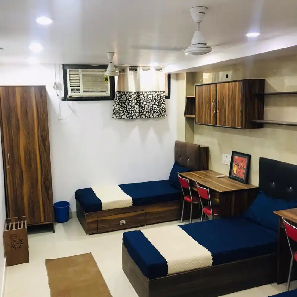 White Dove Photo 3 White Dove Photo 3