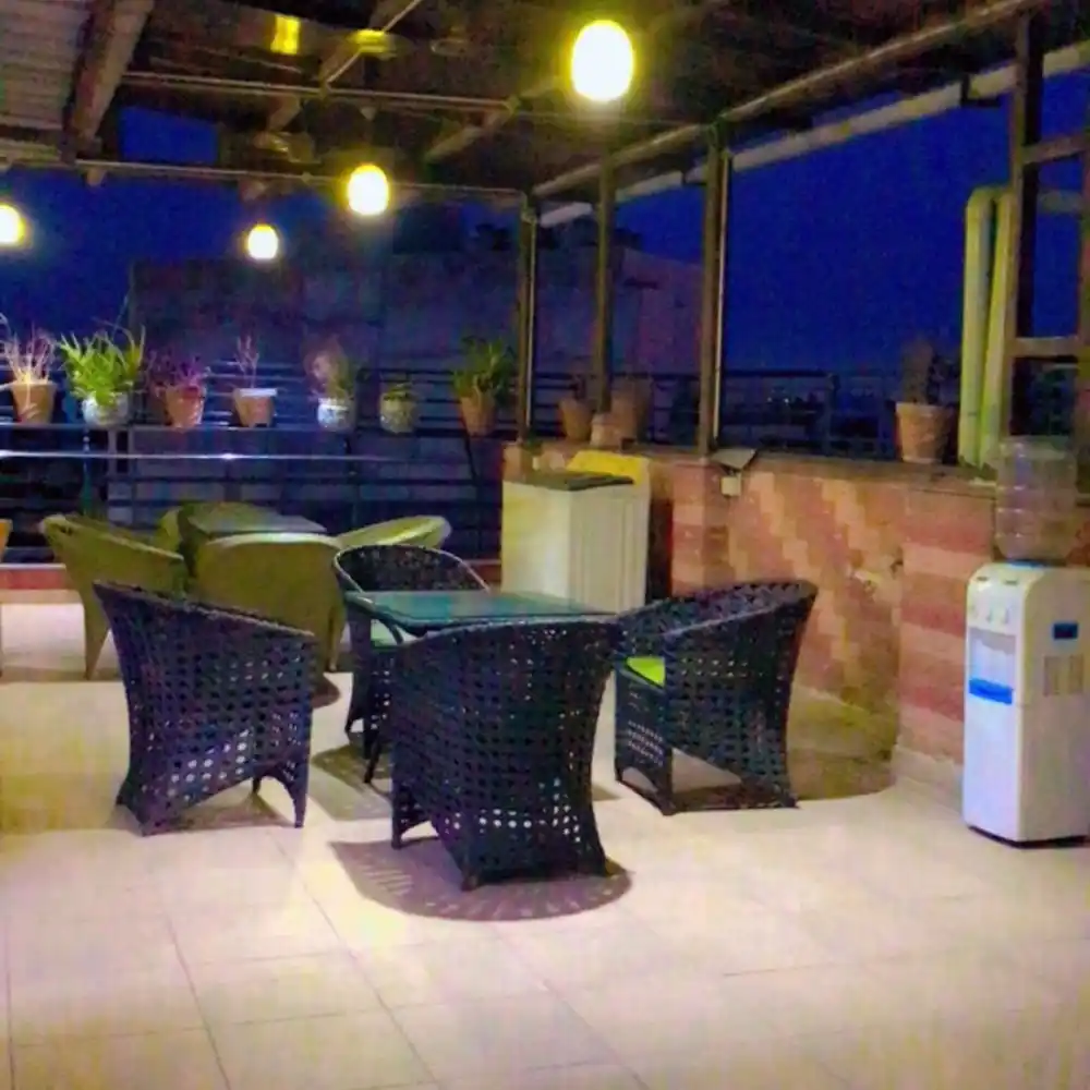 White Dove Photo 4 White Dove Photo 4