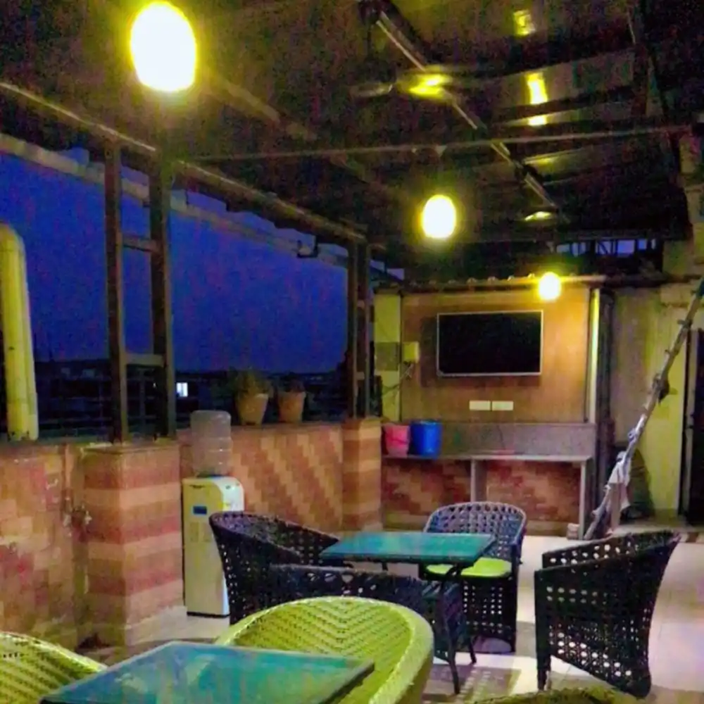 White Dove Photo 5 White Dove Photo 5