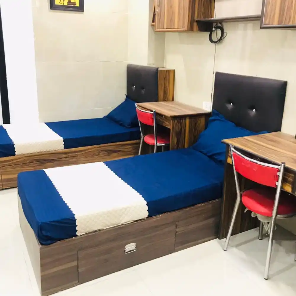 White Dove Photo 6 White Dove Photo 6